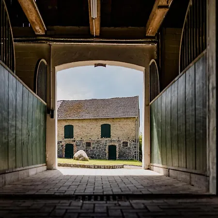 In Am Neuklostersee * Lubberstorf