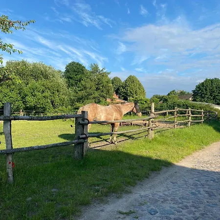 In Am Neuklostersee * Lubberstorf