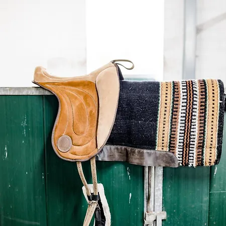 In Am Neuklostersee *