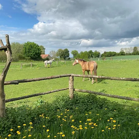 In Am Neuklostersee Lejlighed