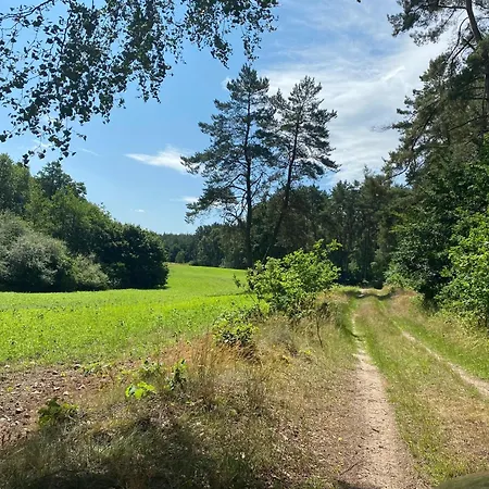 In Am Neuklostersee * Lubberstorf