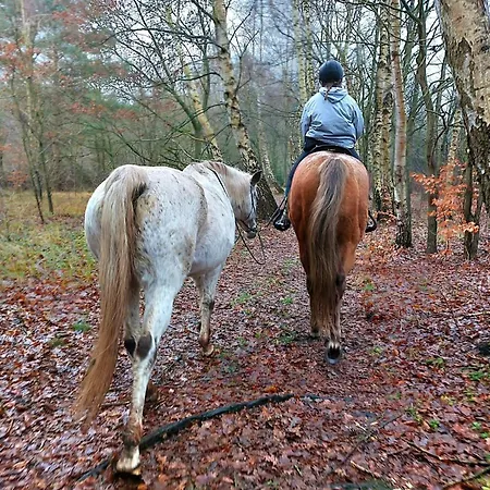 In Am Neuklostersee Lejlighed Lubberstorf